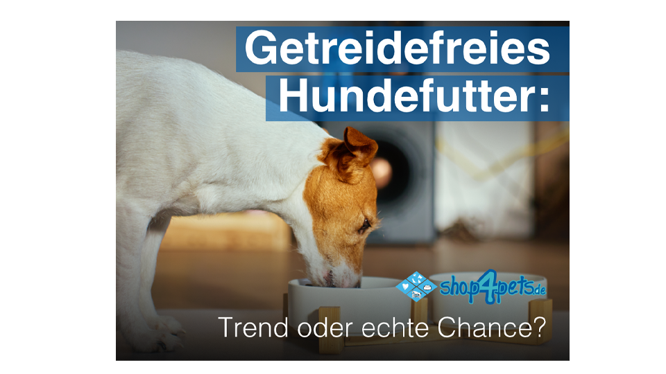 Getreidefreies Hundefutter