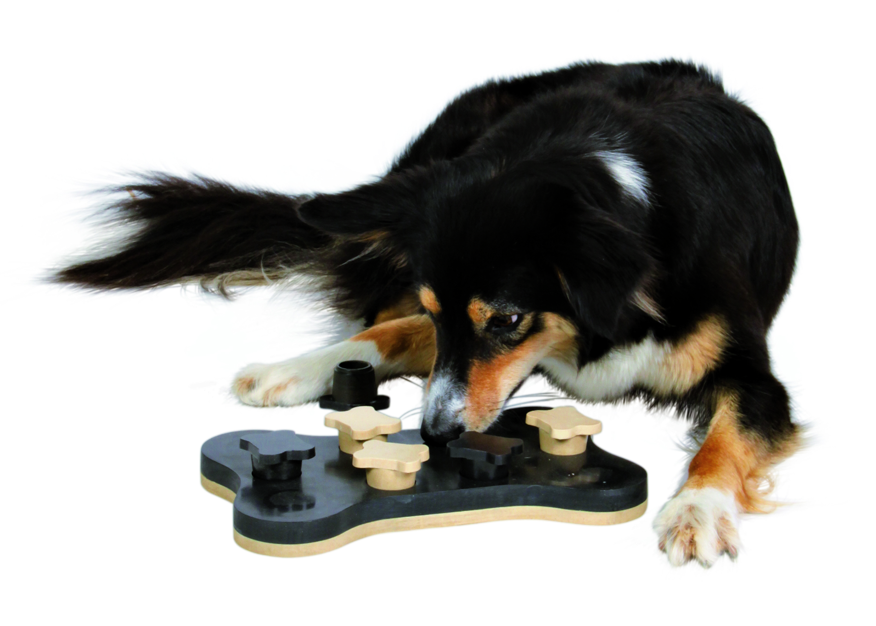Dog Activity Game Bone, 31 x 20 cm