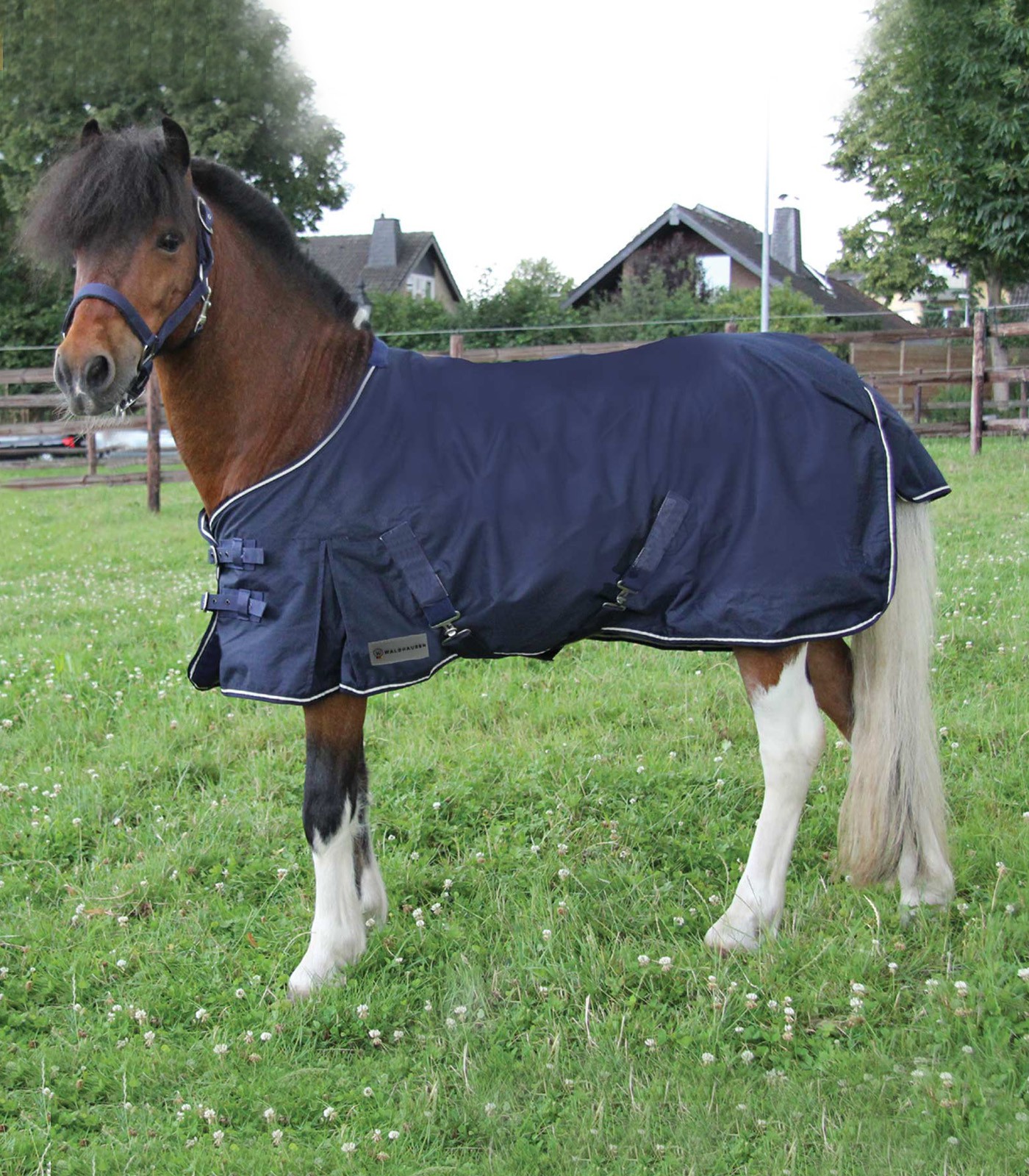 Shetty Regendecke mit Kreuzgurten