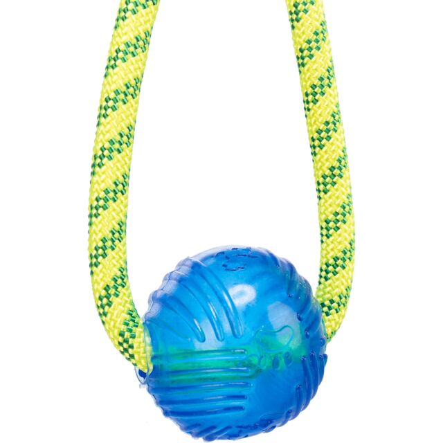 Aqua Toy Spieltau mit Ball