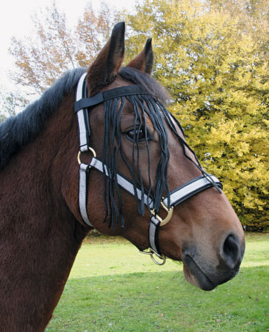 Fliegenfransenband mit Velcro-Verschluss