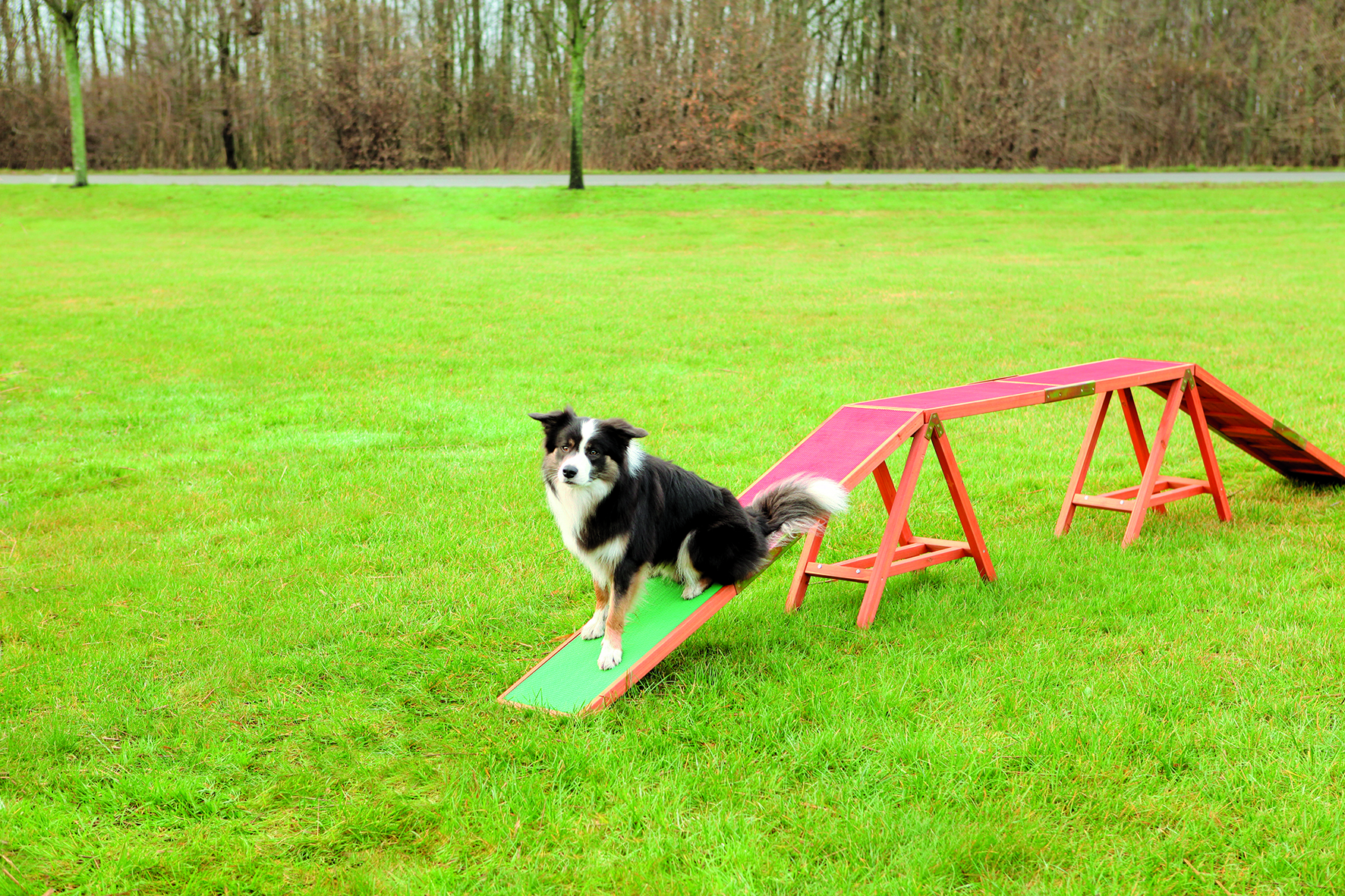 Dog Activity Agility Steg, 456 x 64 x 30 cm