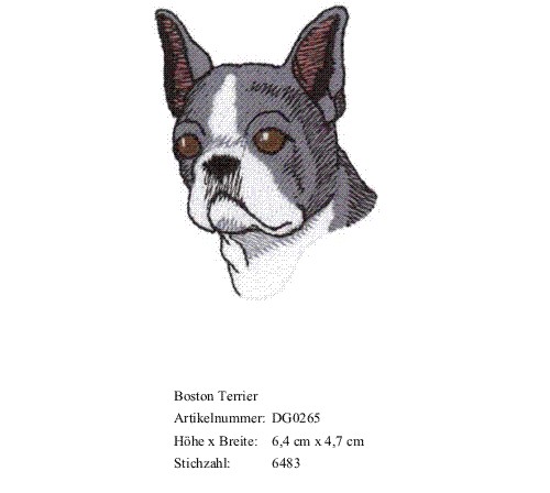 Bruststick Boston Terrier