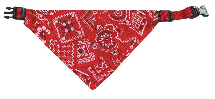 Halsband und Halstuch