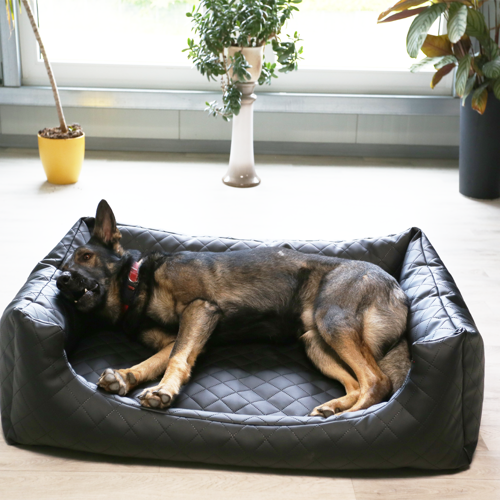 Beckers Beste Dream Exklusiv Hundebett gesteppt