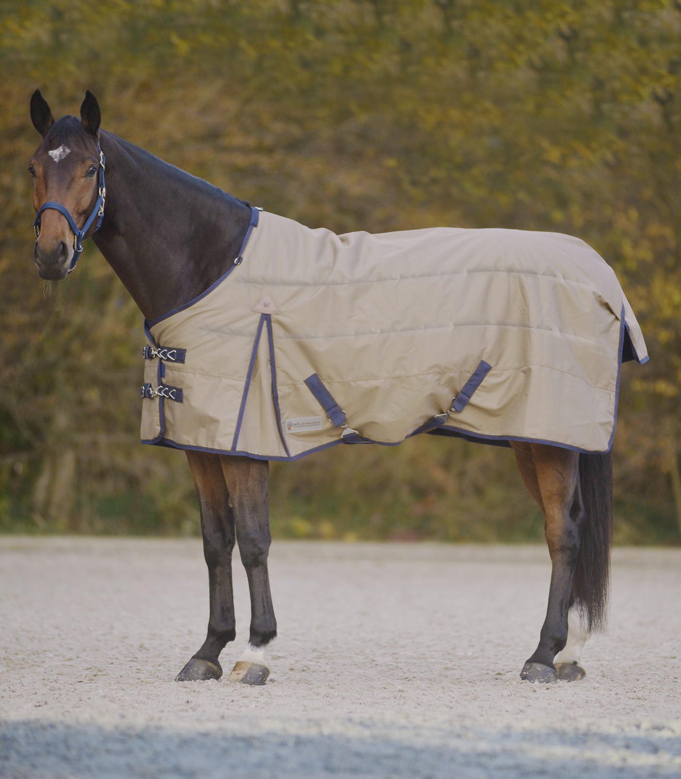 Stalldecke Comfort 300 g