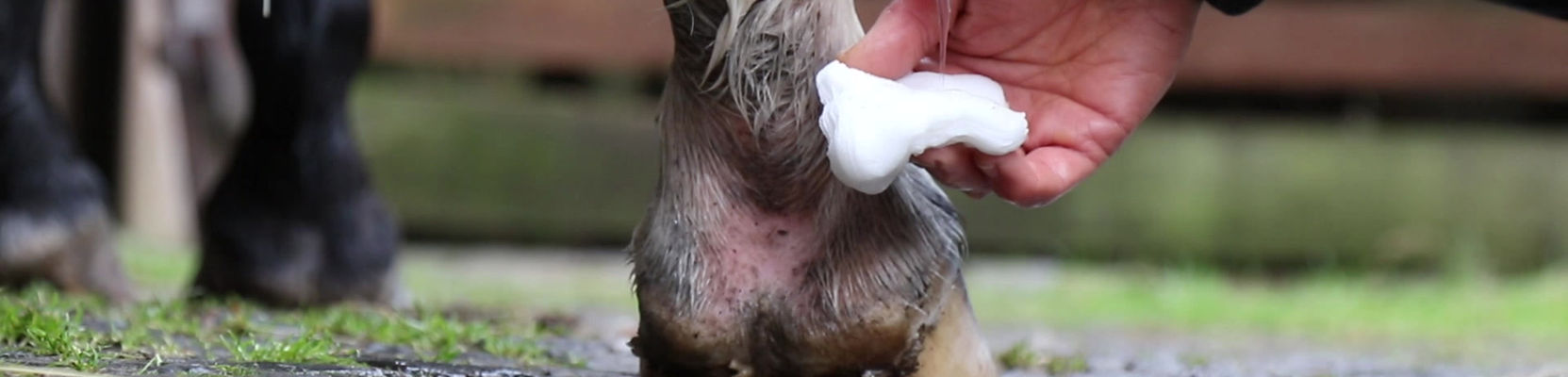 Erste Hilfe Med Waschlotion