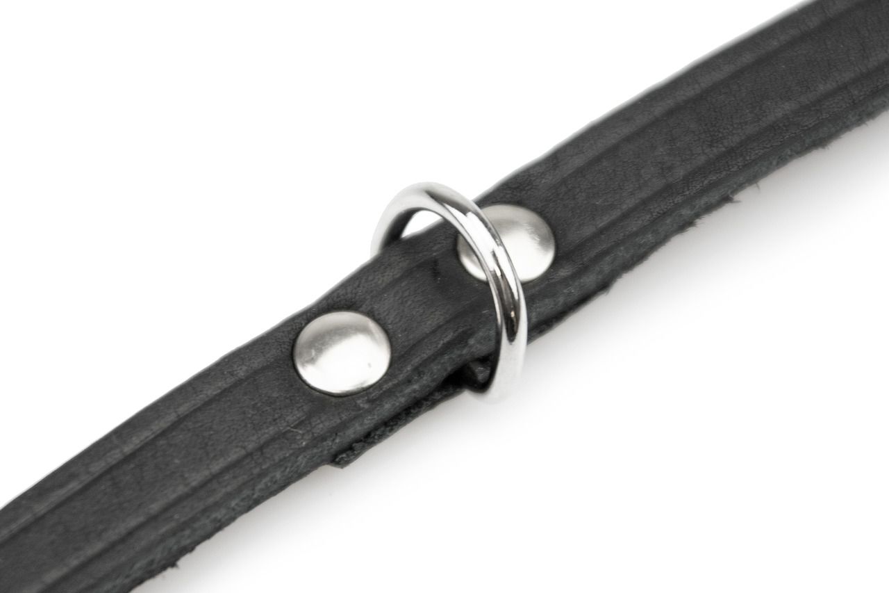 Halsband Rondo, genietet