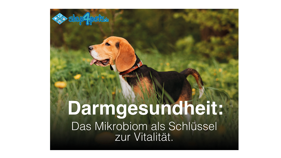 Darmgesundheit