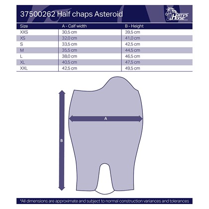 Stiefelschaft Asteroid