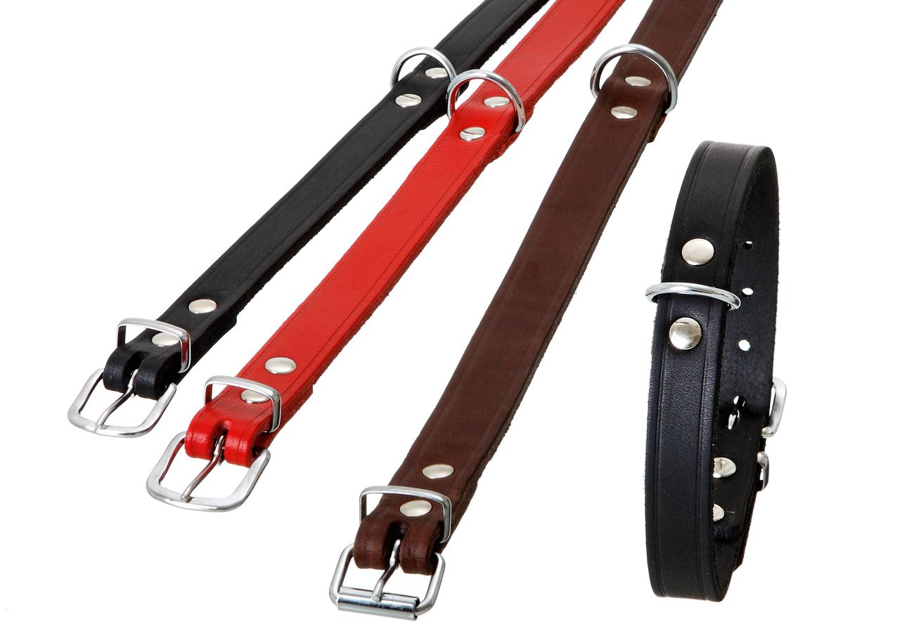 Halsband Rondo, genietet