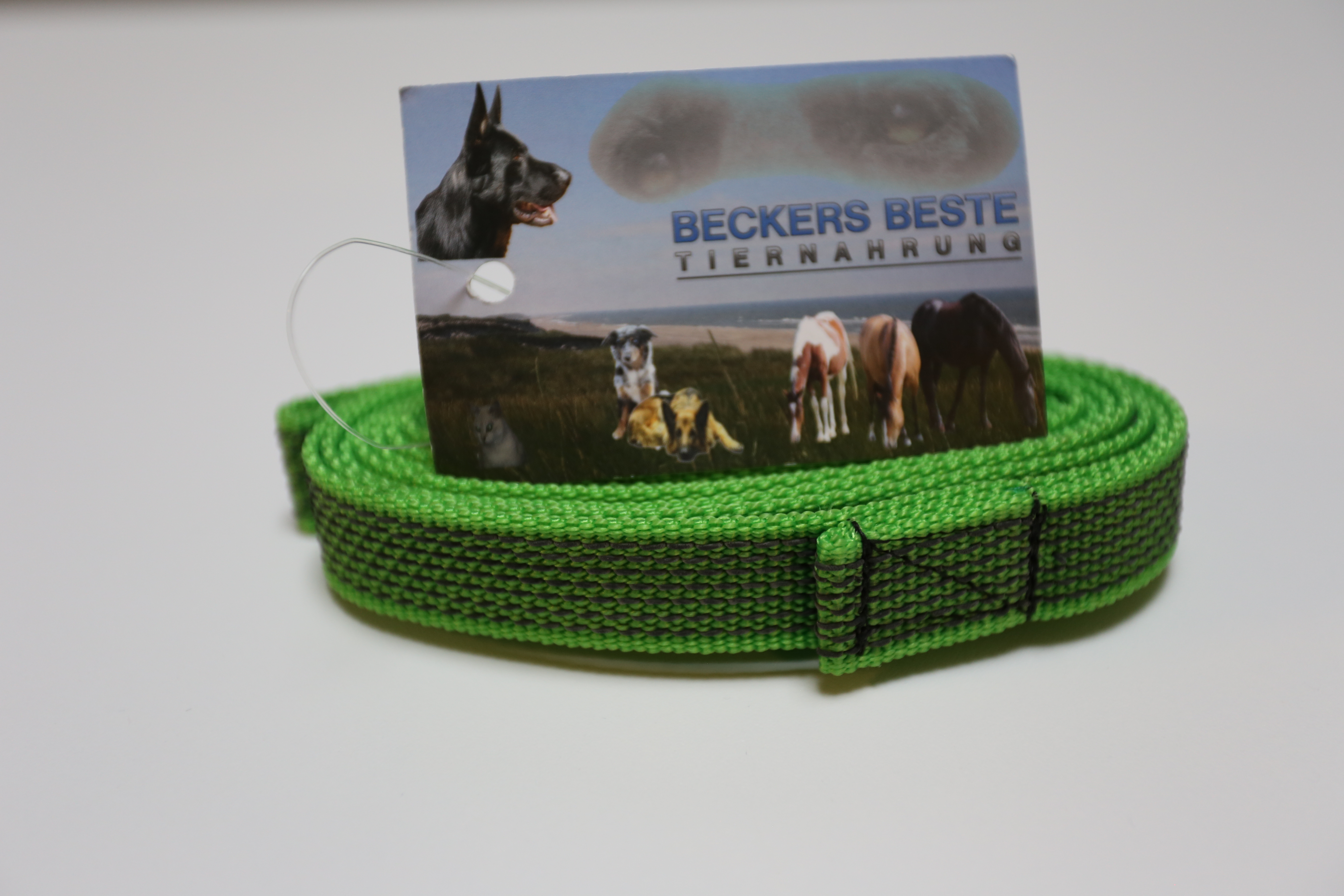 Gummierte Leine, 20mm breit, pistazie mit Schlaufe