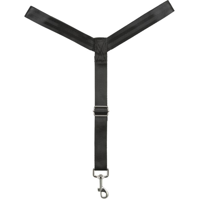 Kurzführer für Autositz