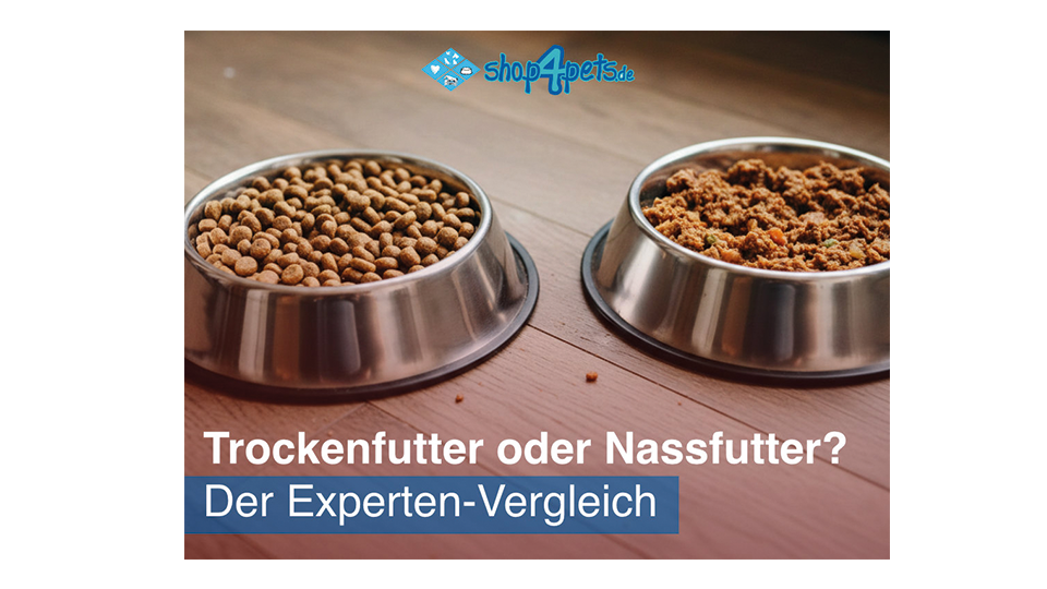 Trocken oder Nassfutter
