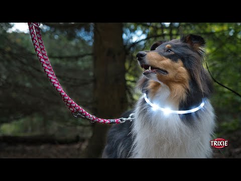 Flash Leuchtring USB, Silikon, XS-XL