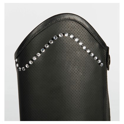 Stiefelschaft Asteroid