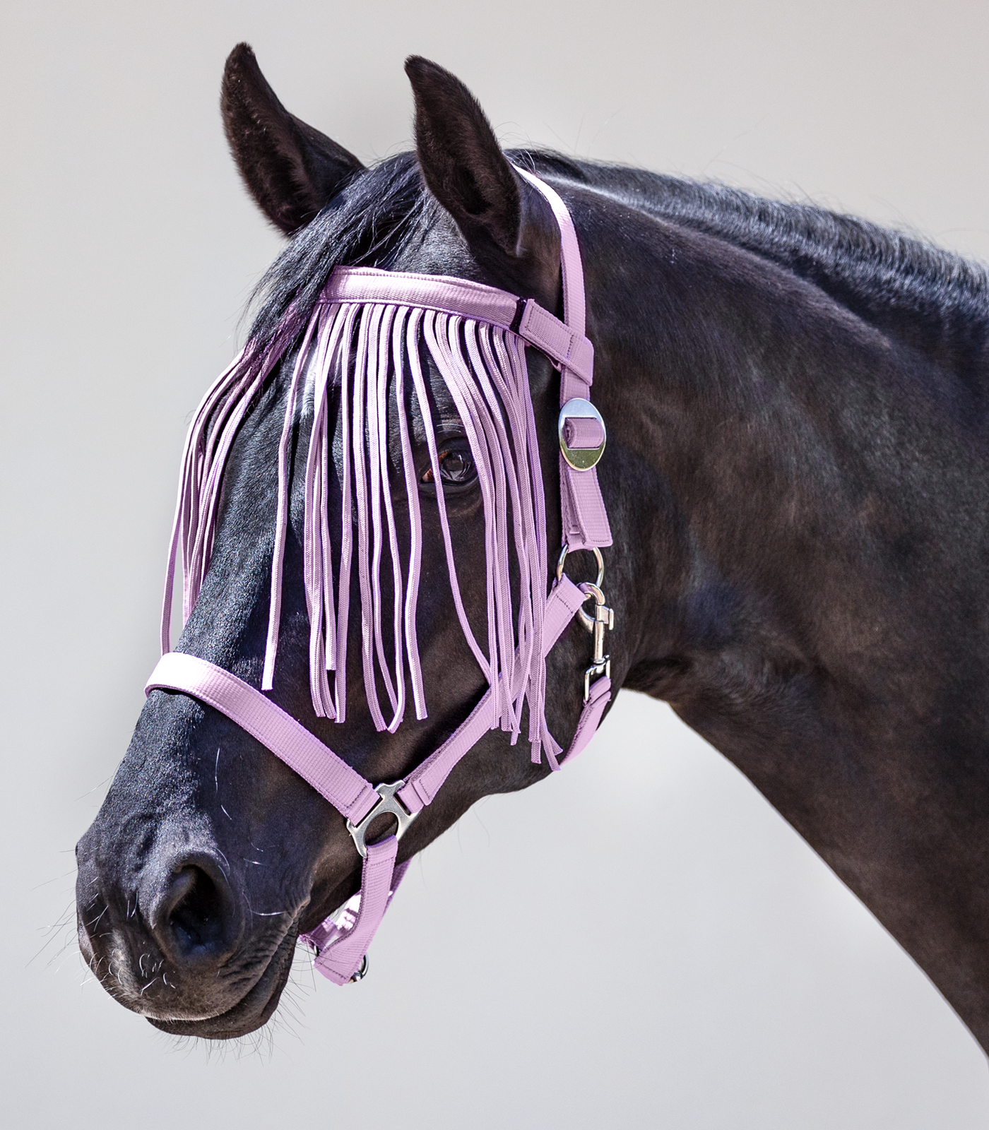 Fliegenfransen Salon