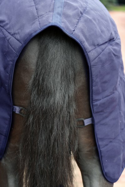 Unter-/Stalldecke RugBe 2in1