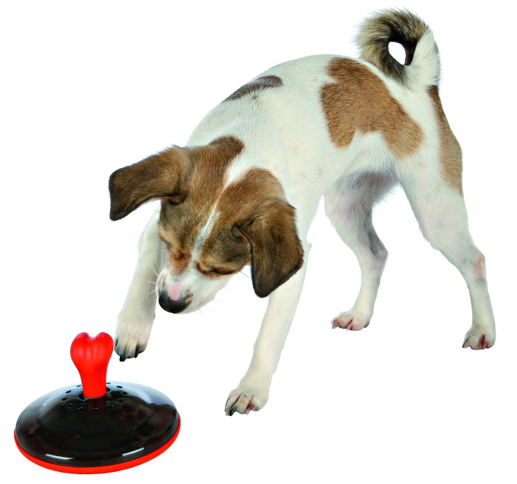 Dog Activity Snack-Kreisel 14/11 cm grau/orange