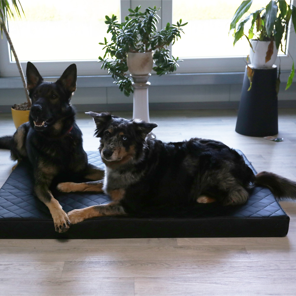 Beckers Dream Comfort Hundematte, Kunstleder, Gesteppt