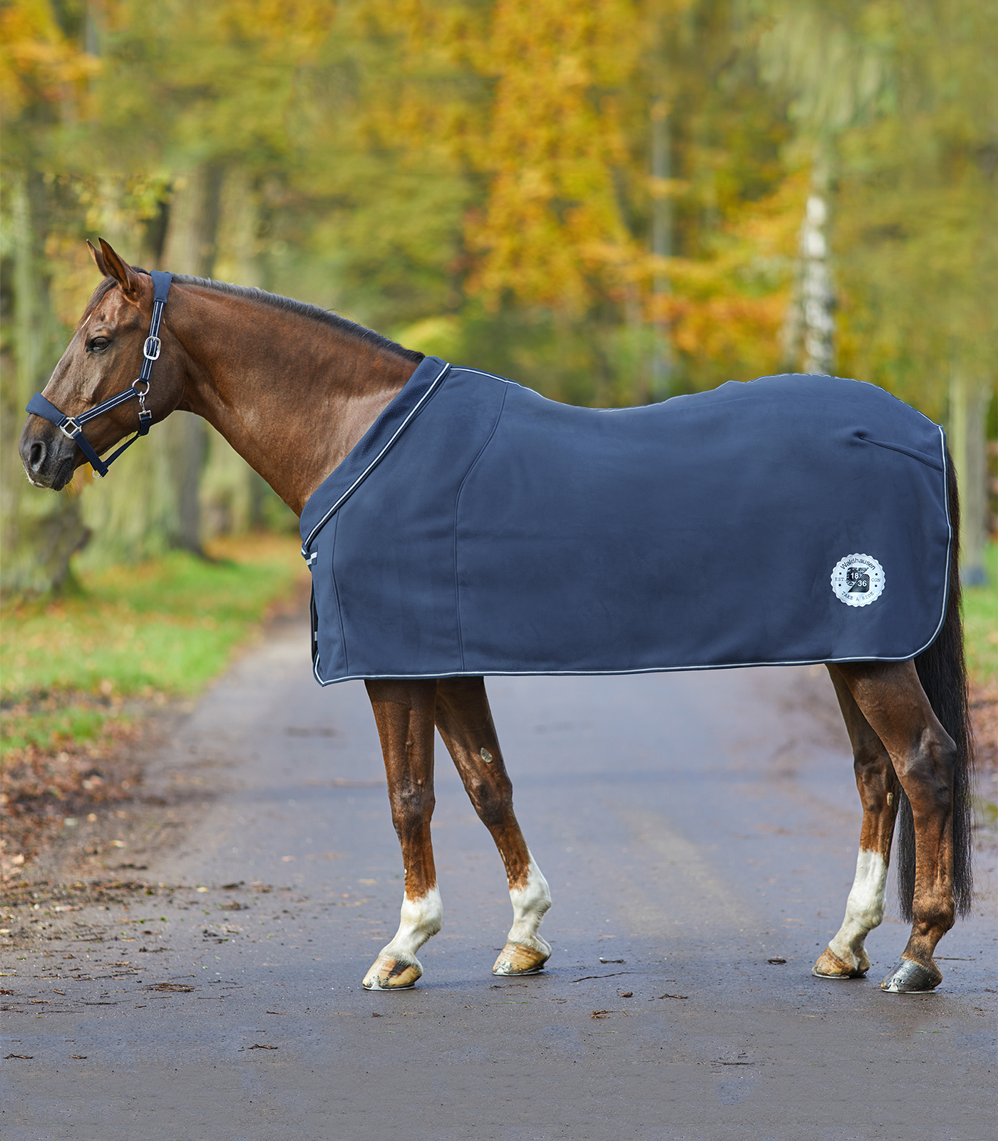 Fleecedecke Alcantara Premium