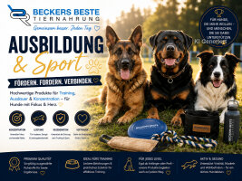 Ausbildung - Sport