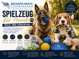 Spielzeug