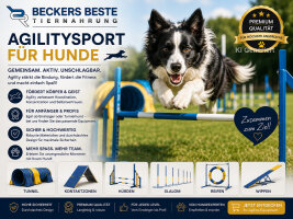 Agility