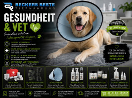 Gesundheit - Vet
