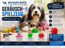 Geräuschspielzeug
