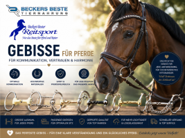 Gebisse