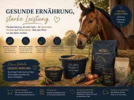 Ernährung
