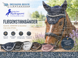 Fliegenstirnbänder