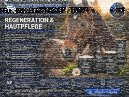 Regeneration & Hautpflege