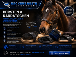Bürsten & Kardätschen