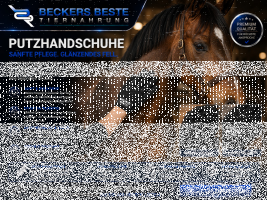 Putzhandschuhe