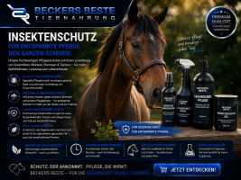 Insektenschutz