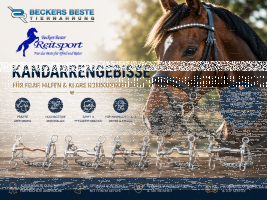 Kandarrengebisse