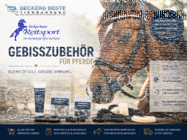 Gebisszubehör