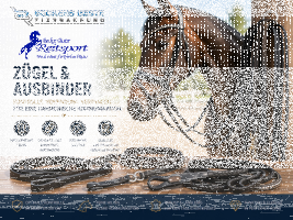 Zügel & Ausbinder