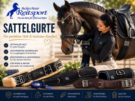 Sattelgurte