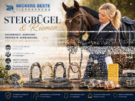 Steigbügel & Riemen