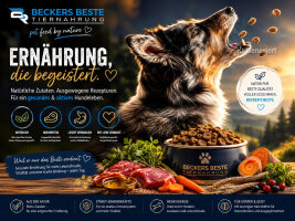 Ernährung