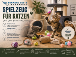 Spielzeug