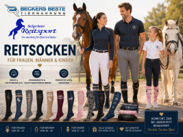 Reitsocken