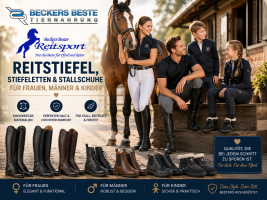 Reitstiefel/Stiefeletten/Stallschuhe/Chaps
