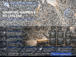Shampoo, Mähnen & Fellpflege