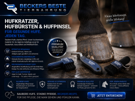 Hufkratzer, Hufbürsten & Hufpinsel