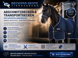 Abschwitz& Transportdecken