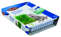 Katzengras, Schale/ca. 100 g